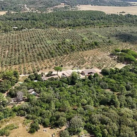 Chalet Alivi Porto-Vecchio (Corsica)