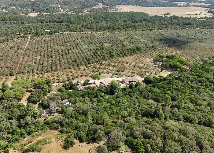 Chalet Alivi Porto-Vecchio (Corsica)