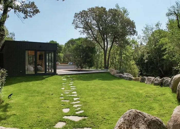 Alivi Porto-Vecchio (Corsica)